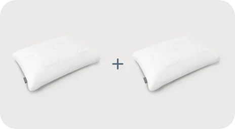 Puffy Signature Pillows (set of 2)