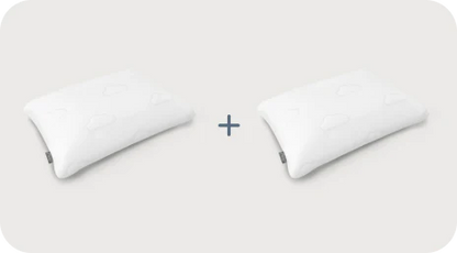 Puffy Signature Pillows (set of 2)