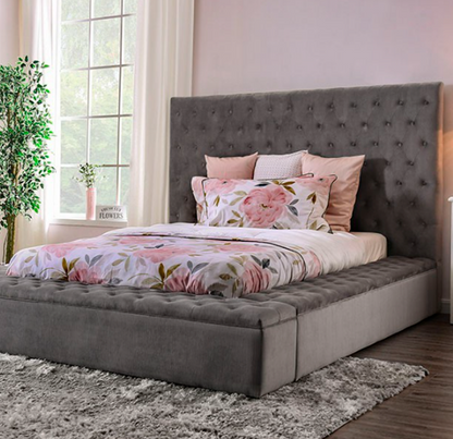 Davida Transitional Gray Bed Frame