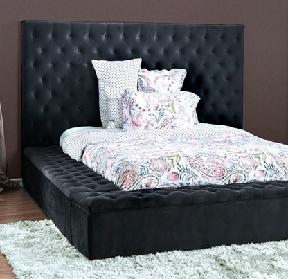 Davida Transitional Dark Gray Bed Frame