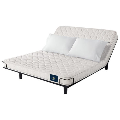 Dunesbury II Firm Serta Mattress